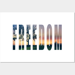 Freedom 2 Posters and Art